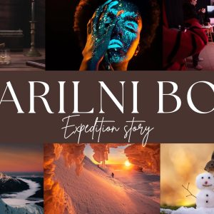 Darilni bon